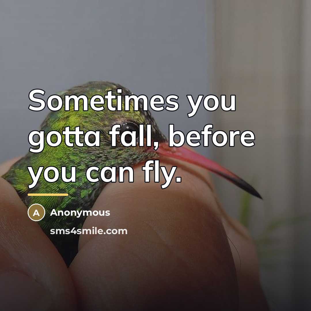 “Sometimes you gotta fall, before you can fly.…” quote by Anonymous