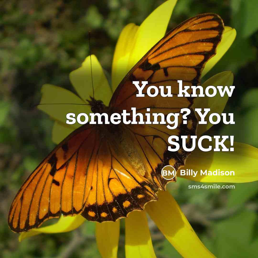 “You know something? You SUCK!” quote by Billy Madison
