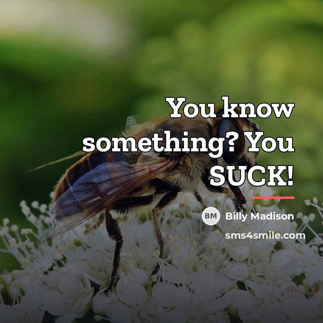 “You know something? You SUCK!…” quote by Billy Madison