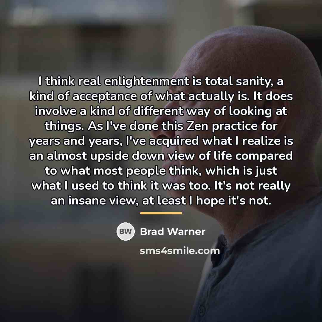 “I think real enlightenment is total sanity, a kind of…” quote by Brad Warner
