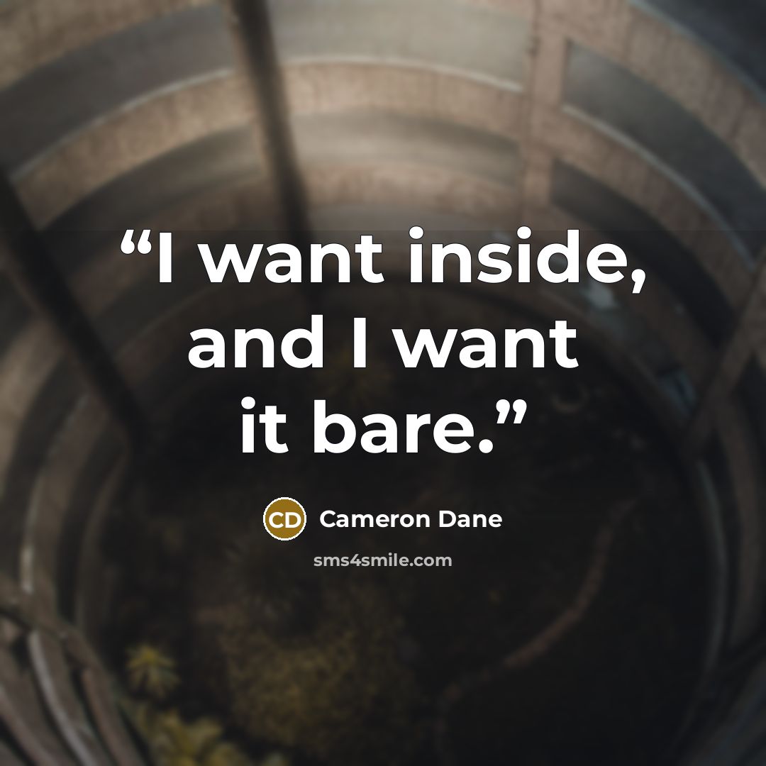 “I want inside, and I want it bare.” quote by Cameron Dane