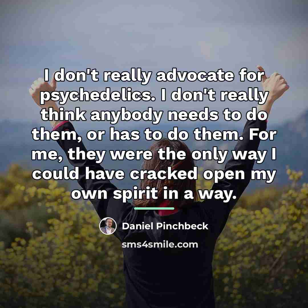 “I don't really advocate for psychedelics. I don't really think…” quote by Daniel Pinchbeck