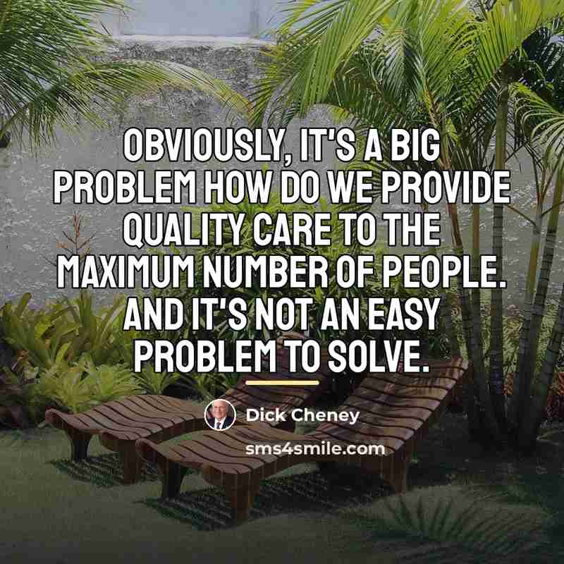 “Obviously, it's a big problem how do we provide quality…” quote by Dick Cheney