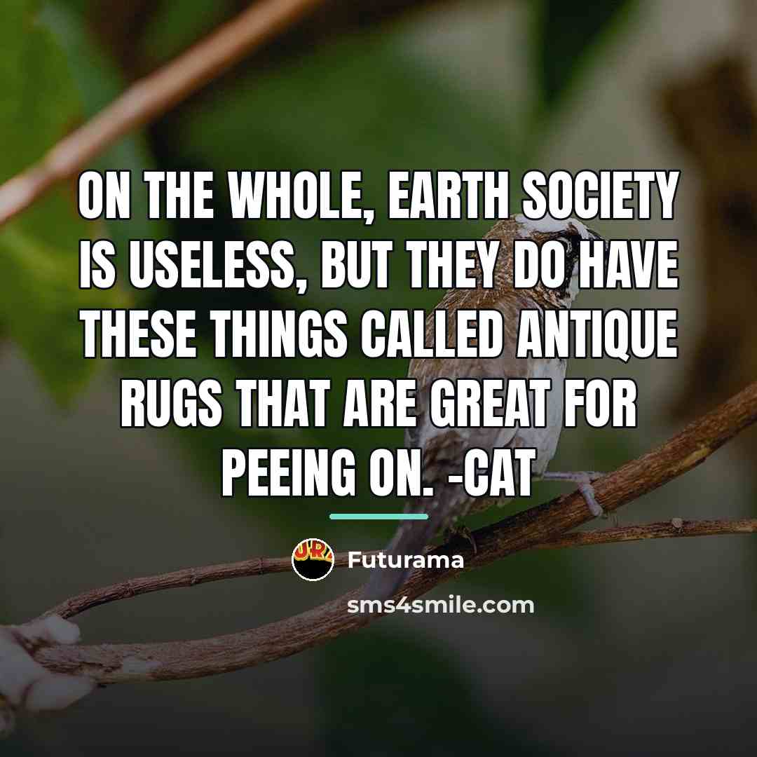 “On the whole, Earth society is useless, but they do…” quote by Futurama