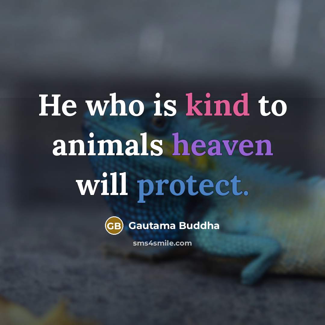 “He who is kind to animals heaven will protect.…” quote by Gautama Buddha