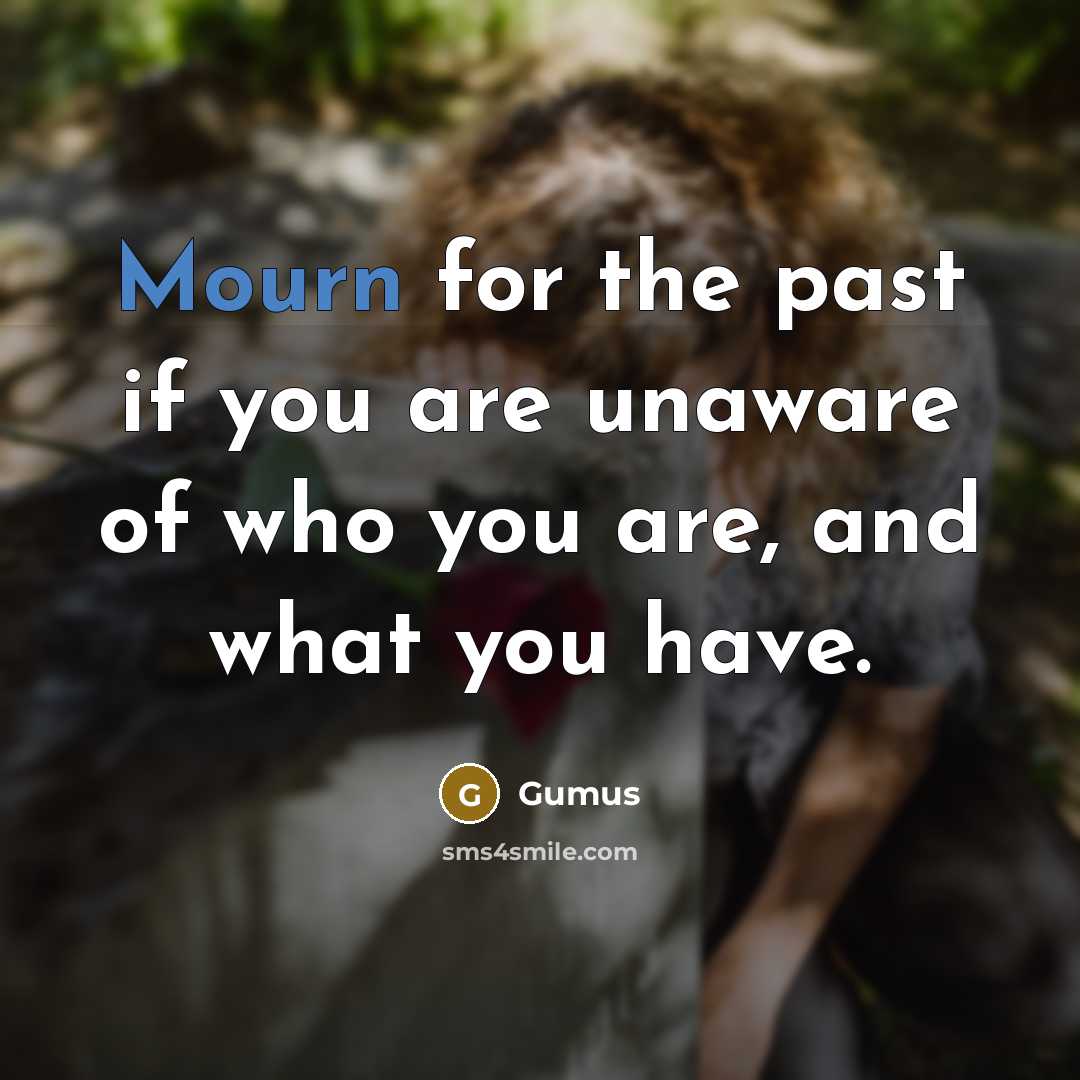 “Mourn for the past if you are unaware of who you are, and what you have.” quote by Gumus