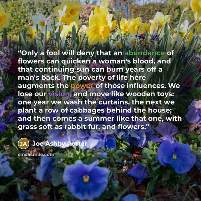 “Only a fool will deny that an abundance of flowers can quicken a woman's blood, and that continuing sun can burn years off a man's back. The poverty of life here augments the power of those influences. We lose our vision, and move like wooden toys: one year we wash the curtains, the next we plant…” quote by Joe Ashby Porter