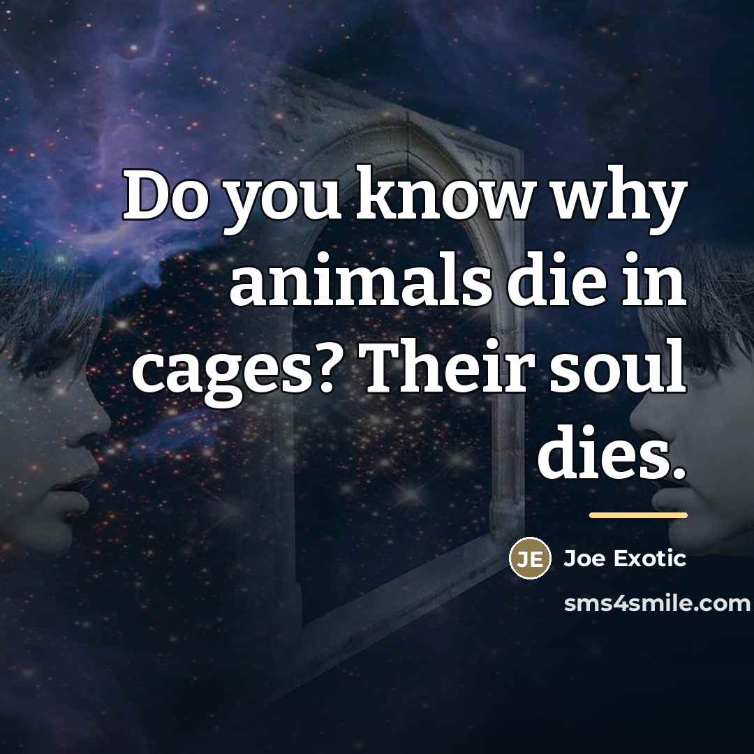 “Do you know why animals die in cages? Their soul…” quote by Joe Exotic