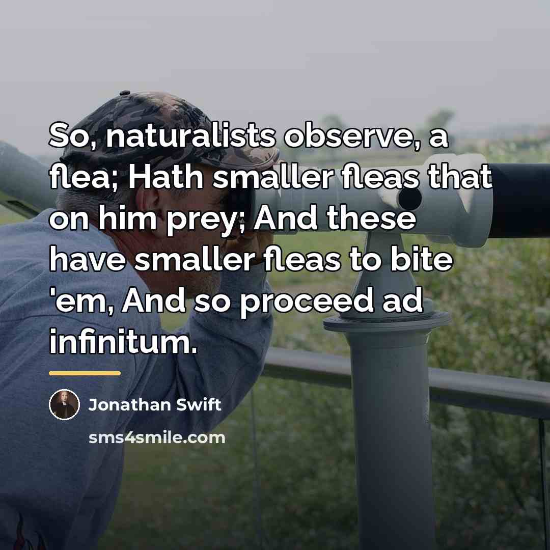 “So, naturalists observe, a flea; Hath smaller fleas that on…” quote by Jonathan Swift