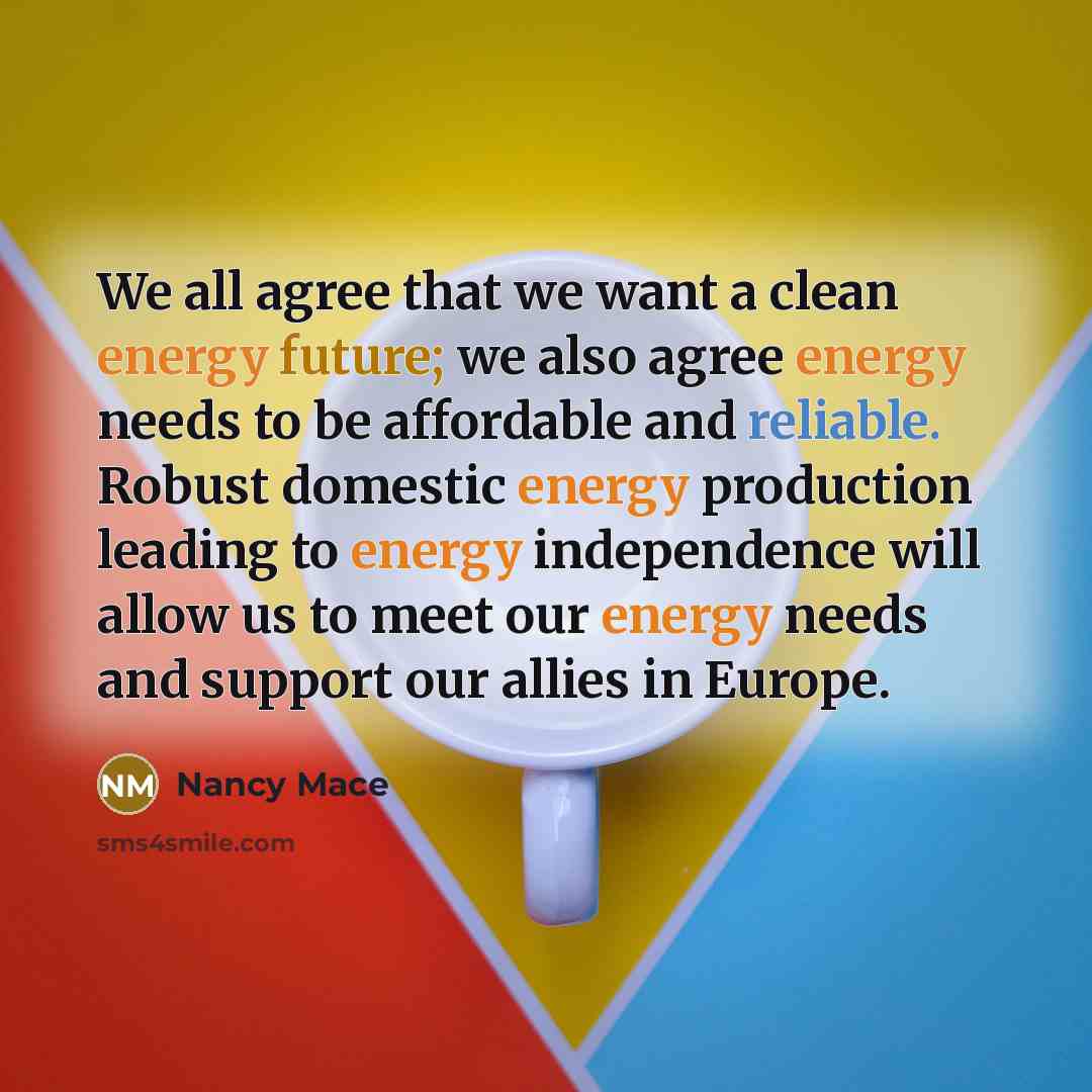 “We all agree that we want a clean energy future;…” quote by Nancy Mace