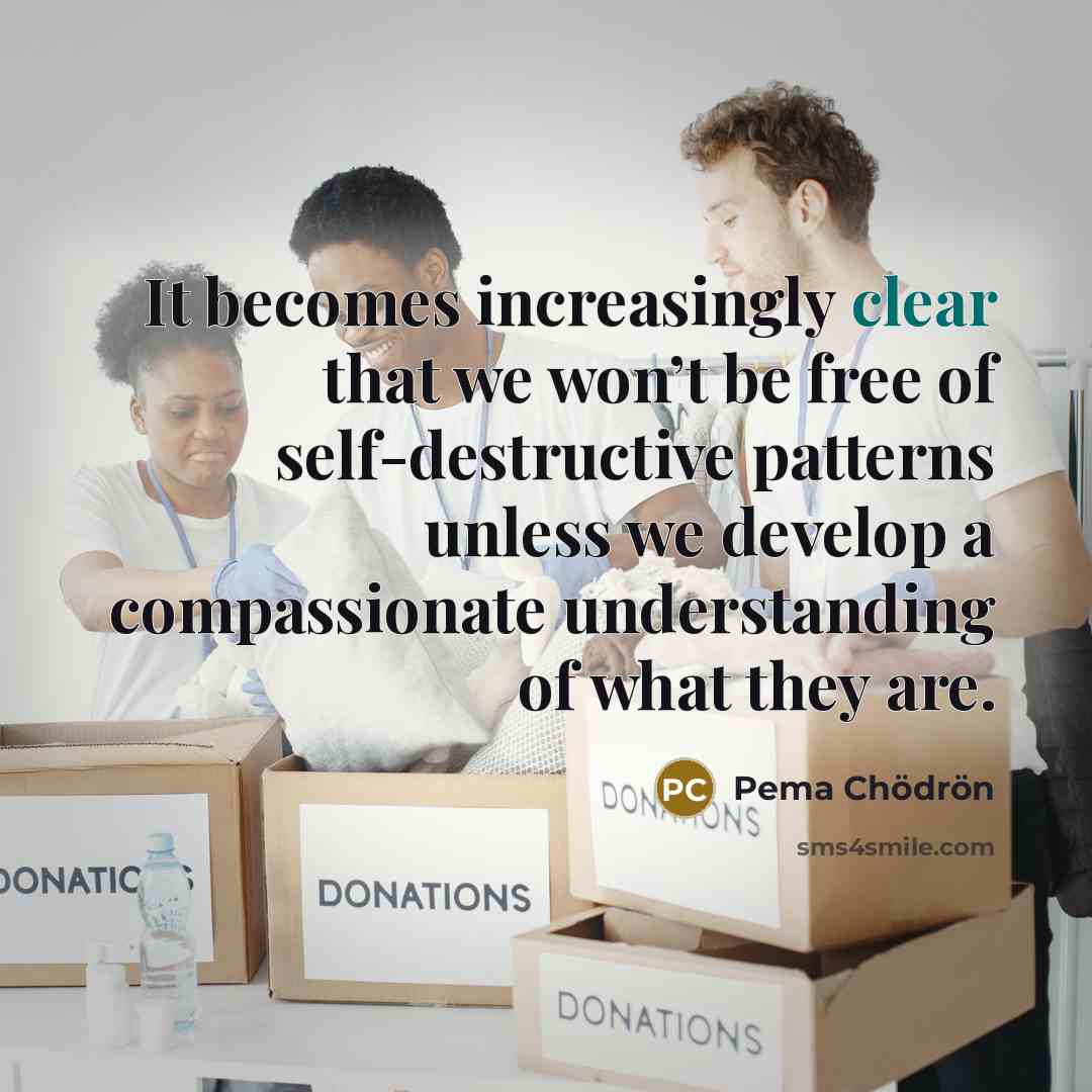 “It becomes increasingly clear that we won’t be free of…” quote by Pema Chodron