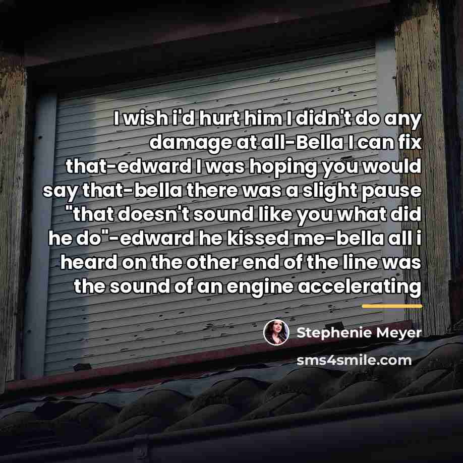 “I wish i'd hurt him I didn't do any damage…” quote by Stephenie Meyer