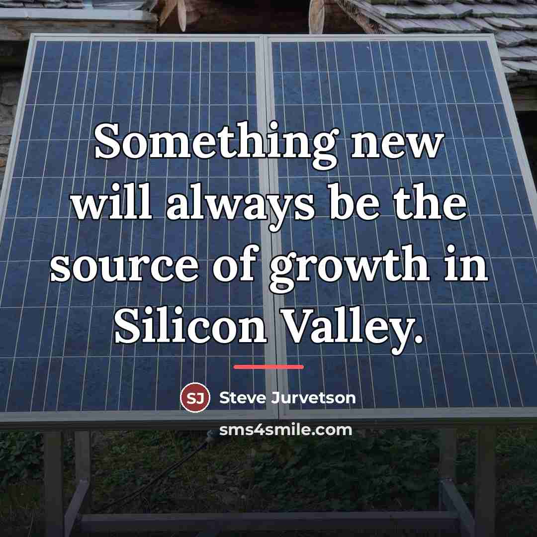 “Something new will always be the source of growth in…” quote by Steve Jurvetson