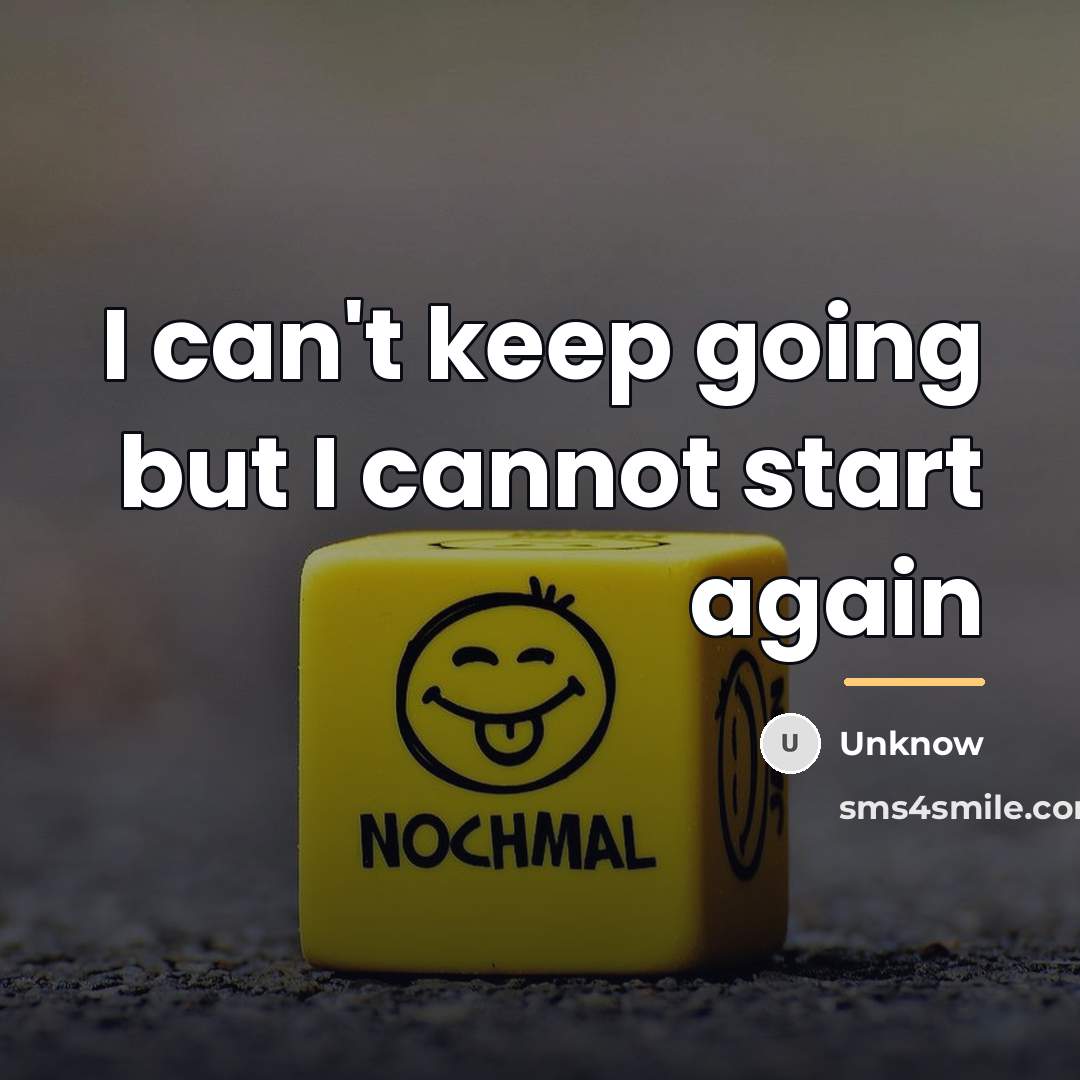 “I can't keep going but I cannot start again…” quote by Unknow