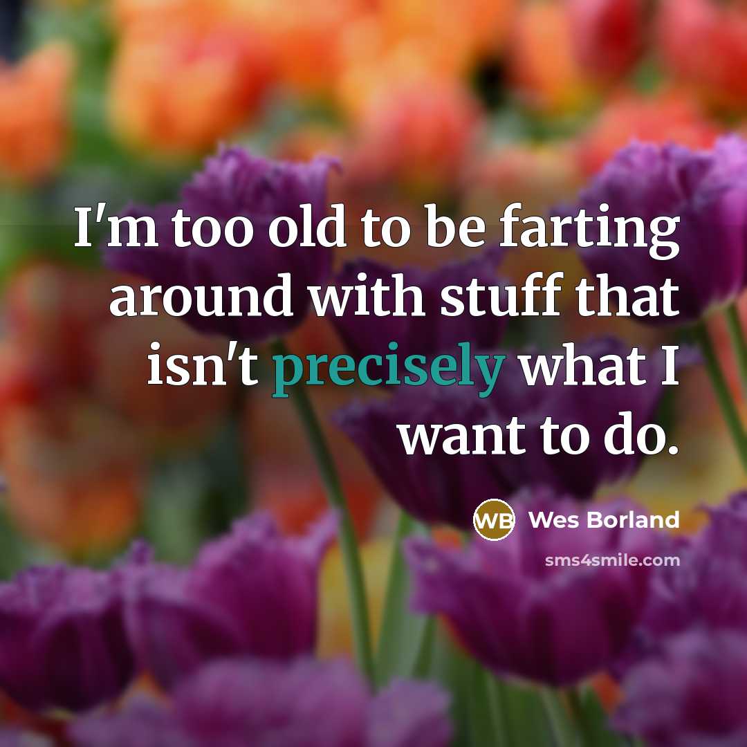“I'm too old to be farting around with stuff that isn't precisely what I want to do.” quote by Wes Borland