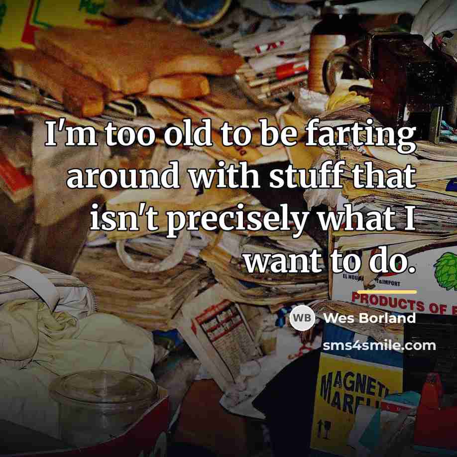 “I'm too old to be farting around with stuff that…” quote by Wes Borland