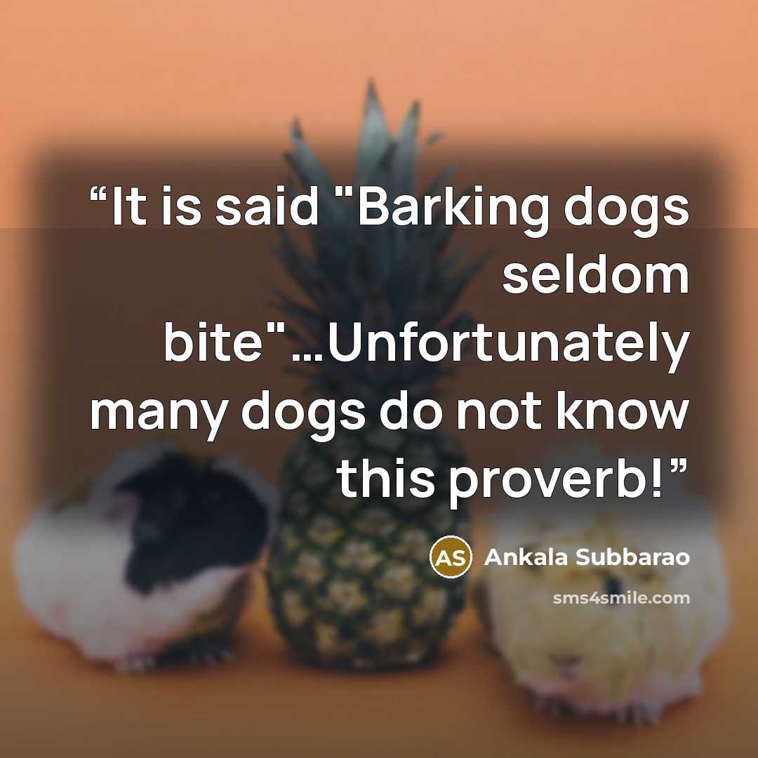 “It is said "Barking dogs seldom bite"…Unfortunately many dogs do not know this proverb!” quote by Ankala Subbarao