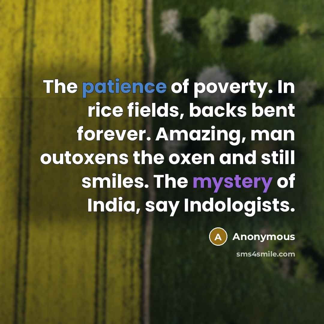 “The patience of poverty. In rice fields, backs bent forever.…” quote by Anonymous