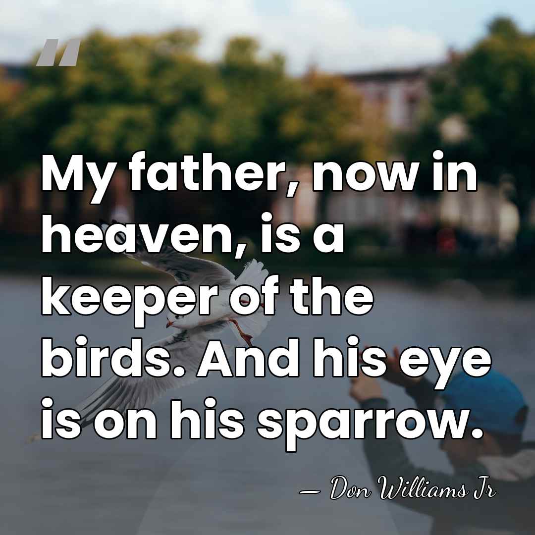 My father, now in heaven, is a keeper of the birds. And&hellip; - Don Williams Jr