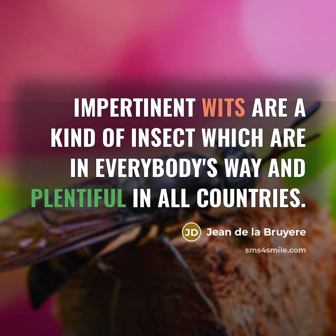 “Impertinent wits are a kind of insect which are in…” quote by Jean de la Bruyere