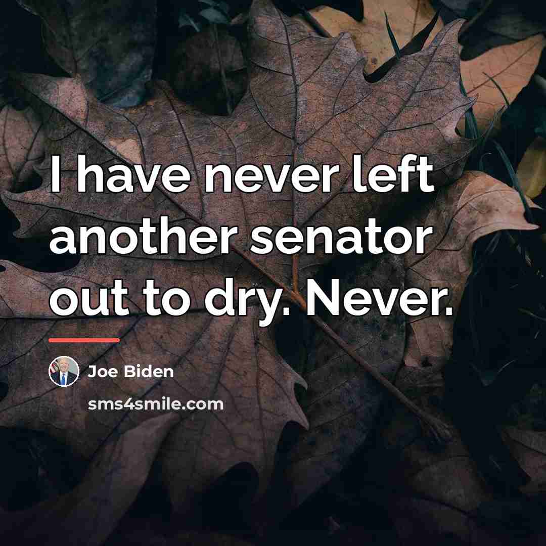 “I have never left another senator out to dry. Never.…” quote by Joe Biden