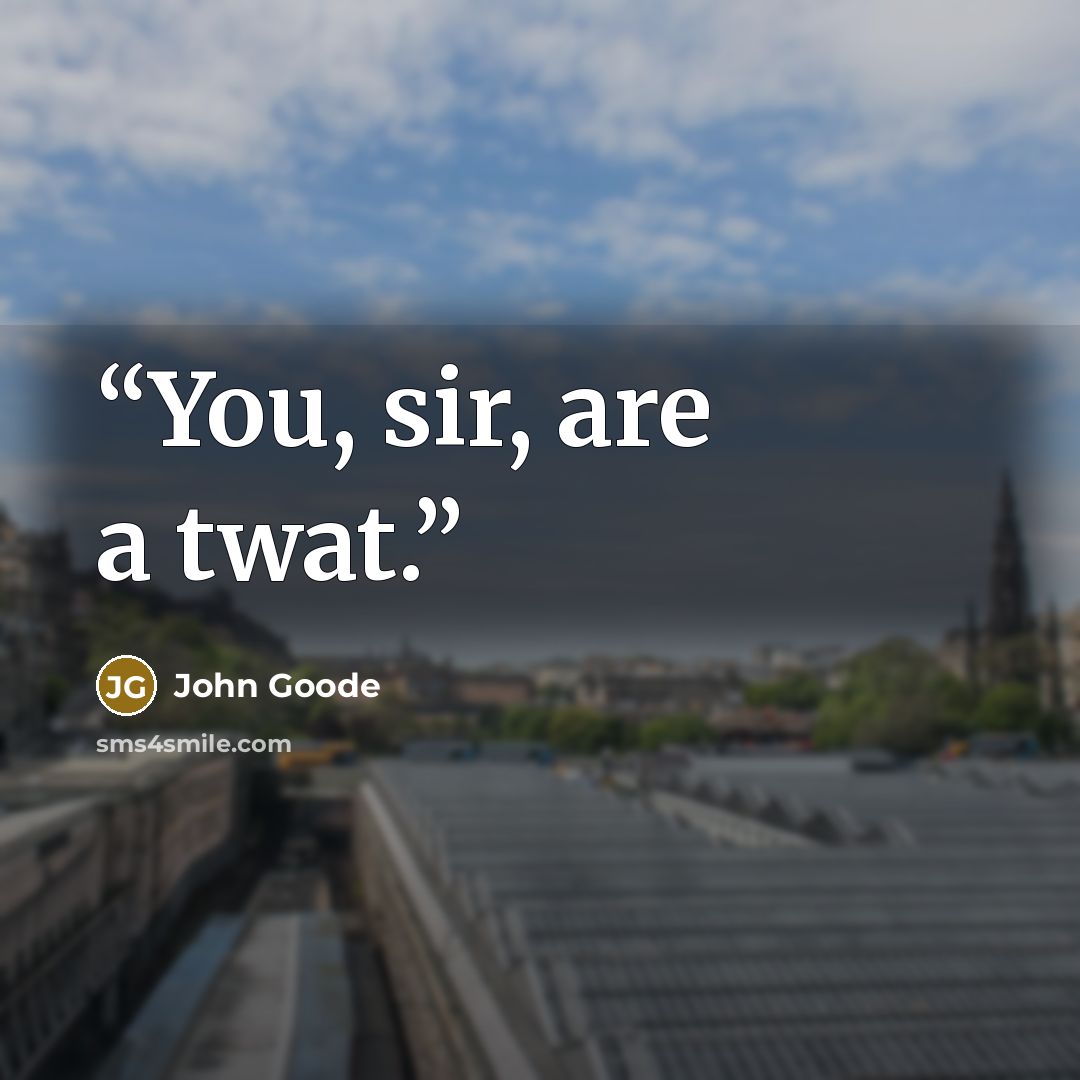 “You, sir, are a twat.” quote by John Goode
