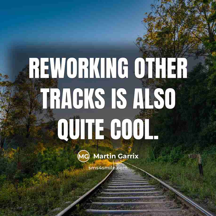 “Reworking other tracks is also quite cool.…” quote by Martin Garrix