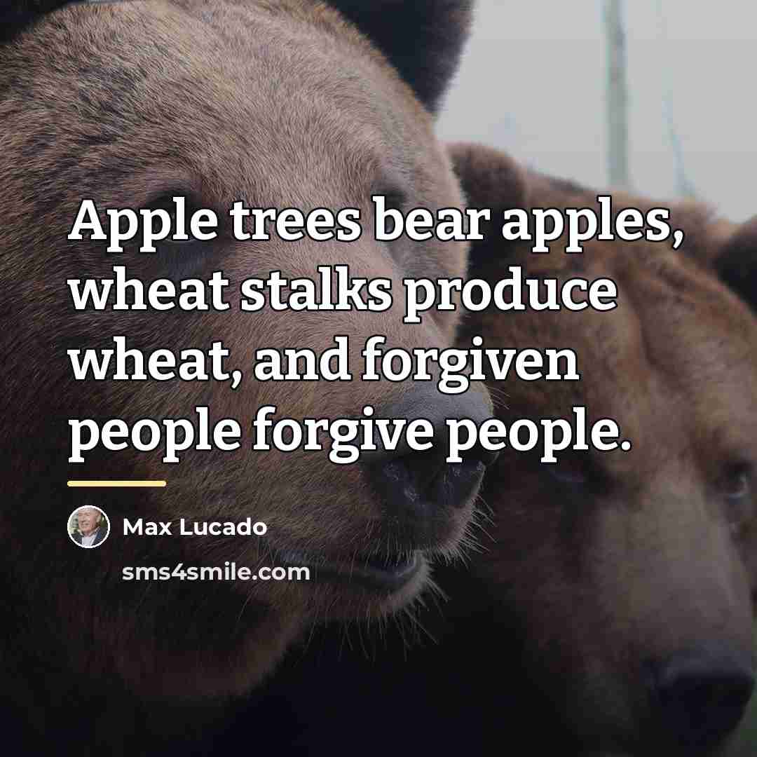 “Apple trees bear apples, wheat stalks produce wheat, and forgiven…” quote by Max Lucado