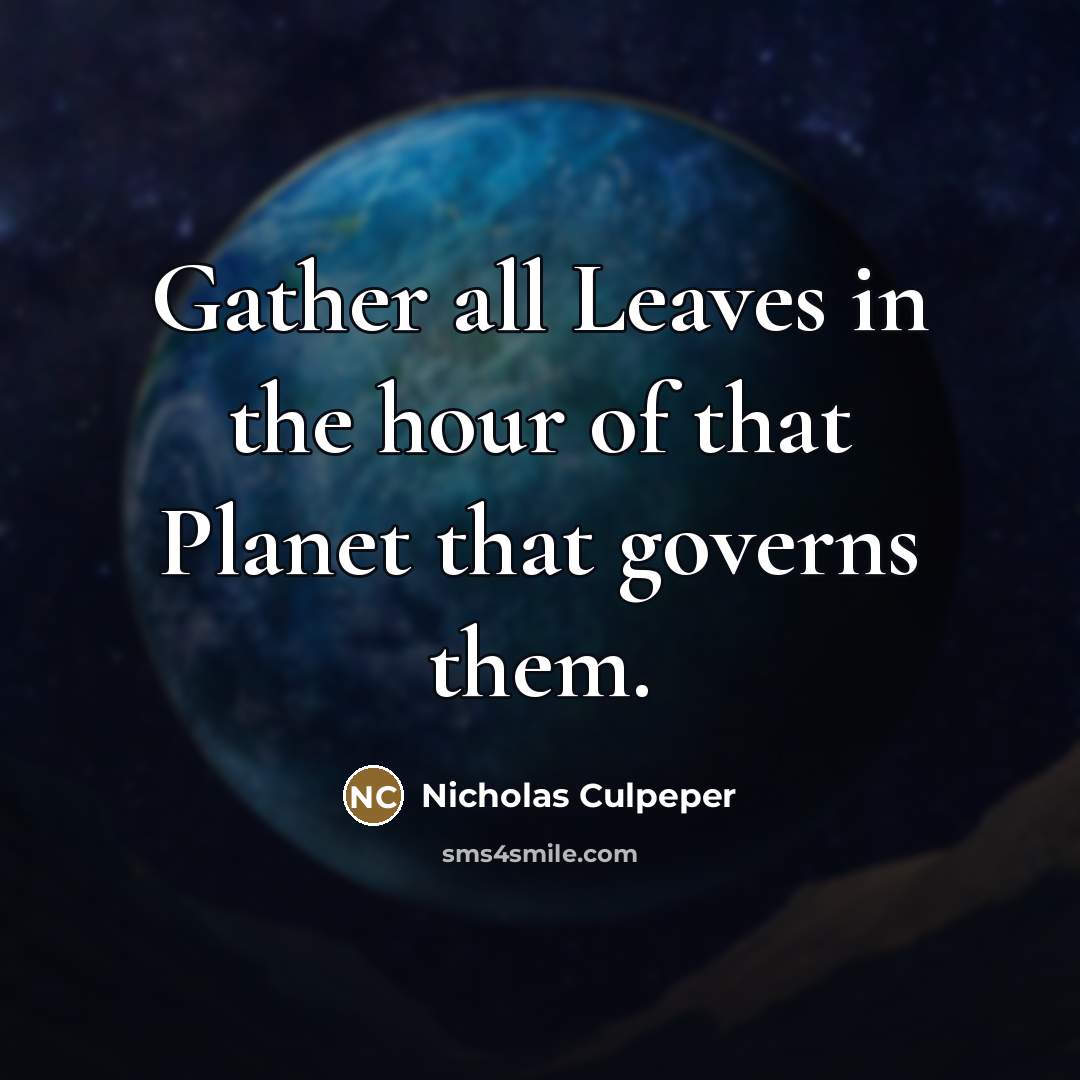 “Gather all Leaves in the hour of that Planet that…” quote by Nicholas Culpeper