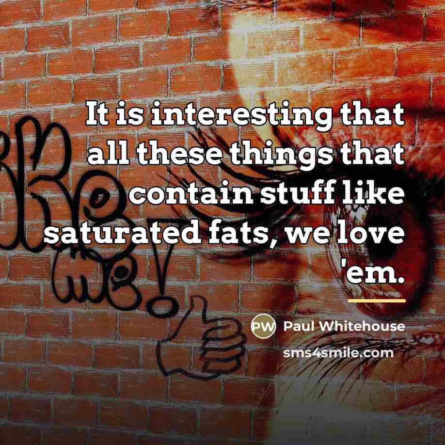“It is interesting that all these things that contain stuff…” quote by Paul Whitehouse