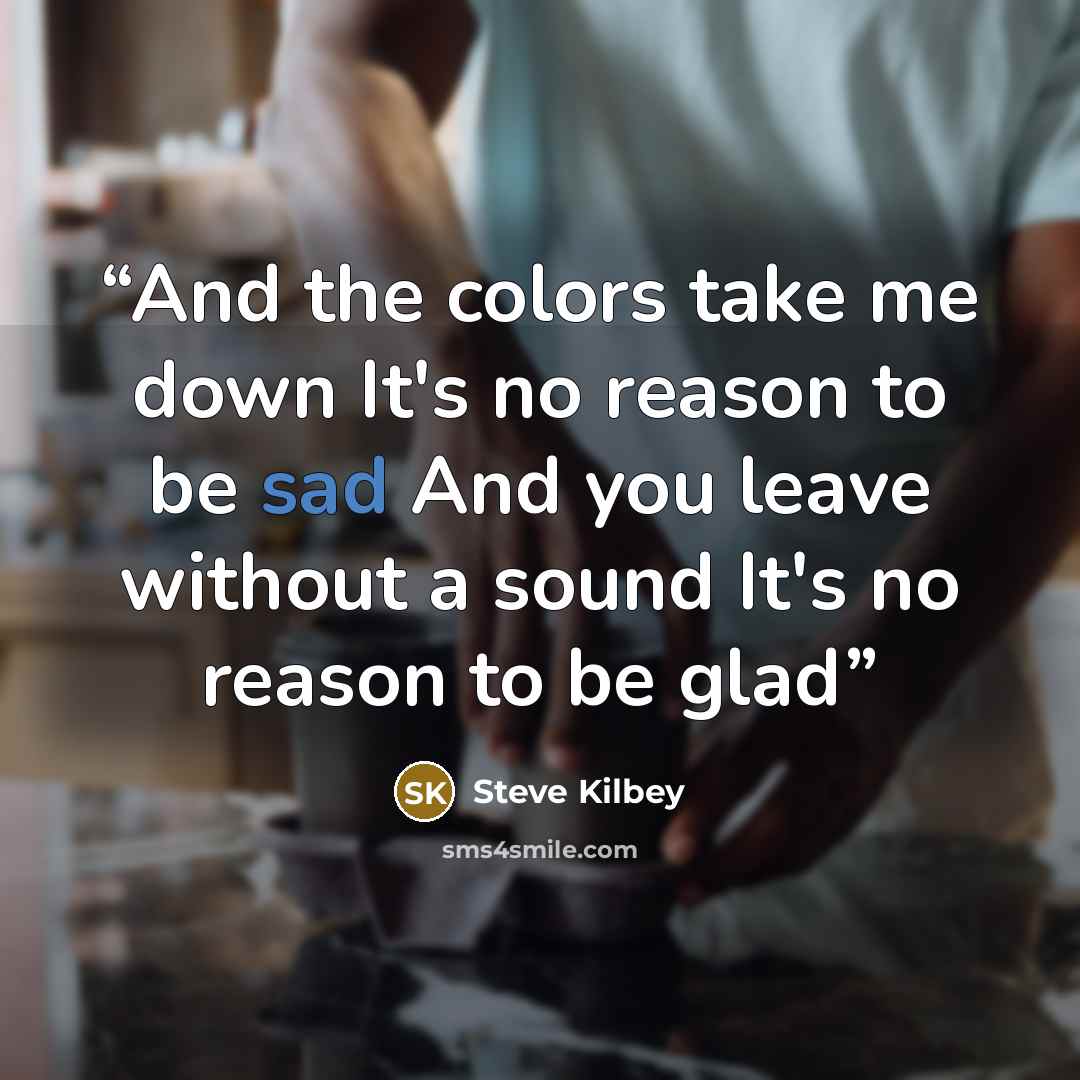 “And the colors take me down It's no reason to be sad And you leave without a sound It's no reason to be glad” quote by Steve Kilbey