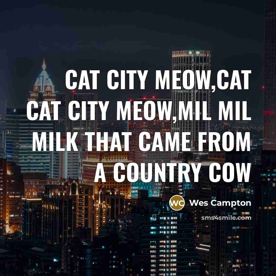 “Cat city meow,cat cat city meow,mil mil milk that came…” quote by Wes Campton