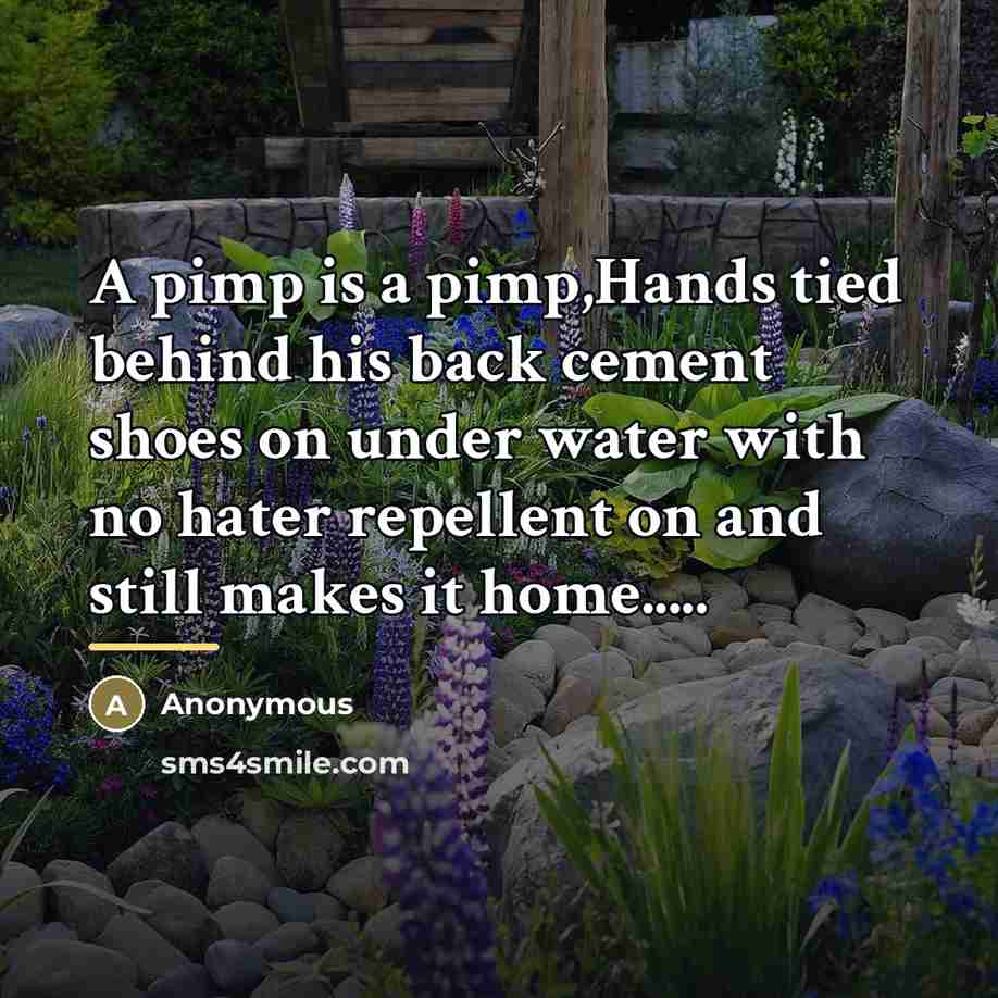 “A pimp is a pimp,Hands tied behind his back cement…” quote by Anonymous