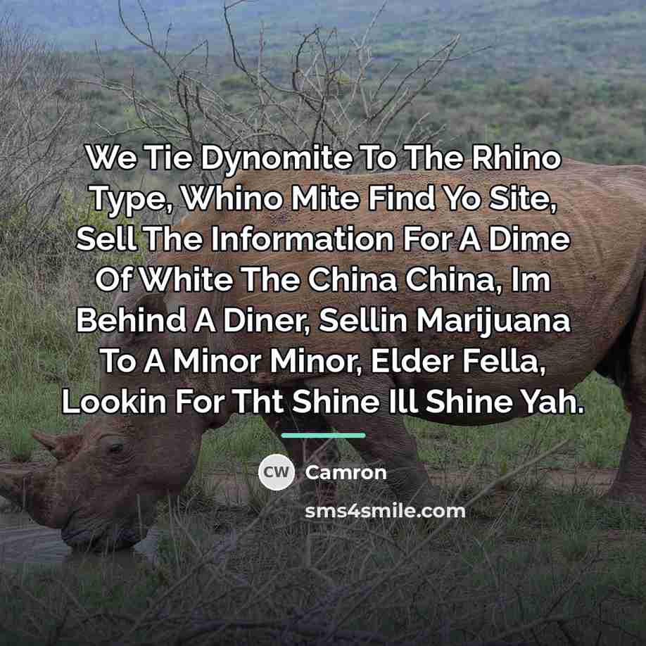 “We Tie Dynomite To The Rhino Type, Whino Mite Find…” quote by Camron