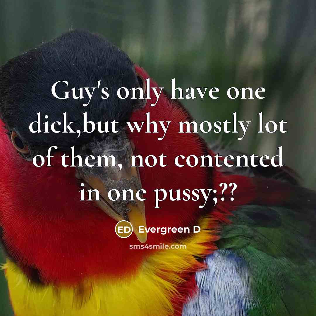 “Guy`s only have one dick,but why mostly lot of them,…” quote by Evergreen D