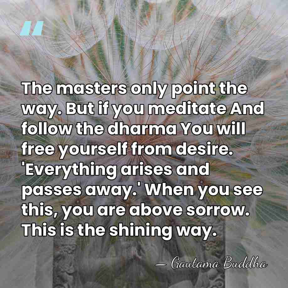 The masters only point the way. But if you meditate And follow&hellip; - Gautama Buddha