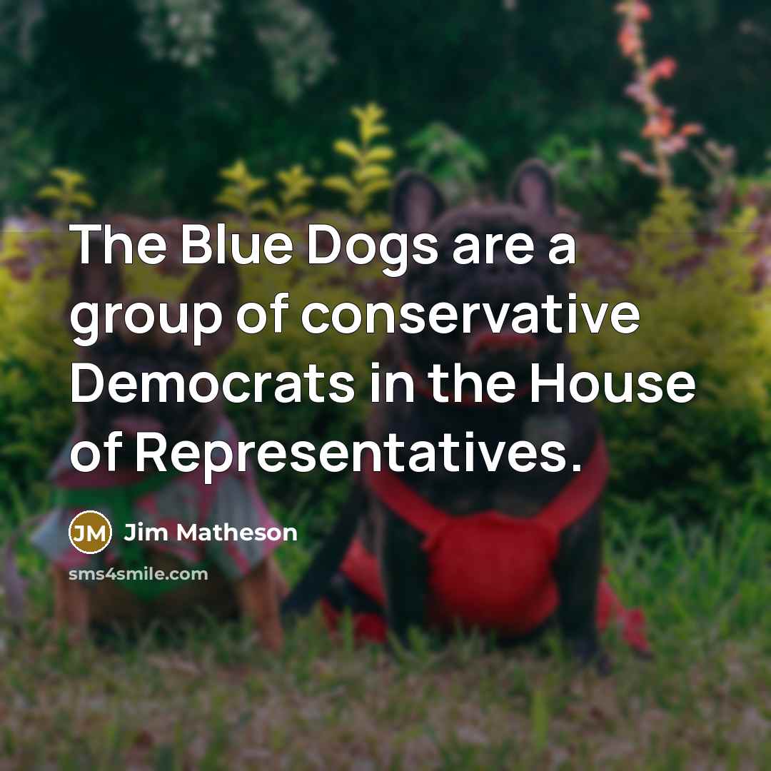 “The Blue Dogs are a group of conservative Democrats in…” quote by Jim Matheson