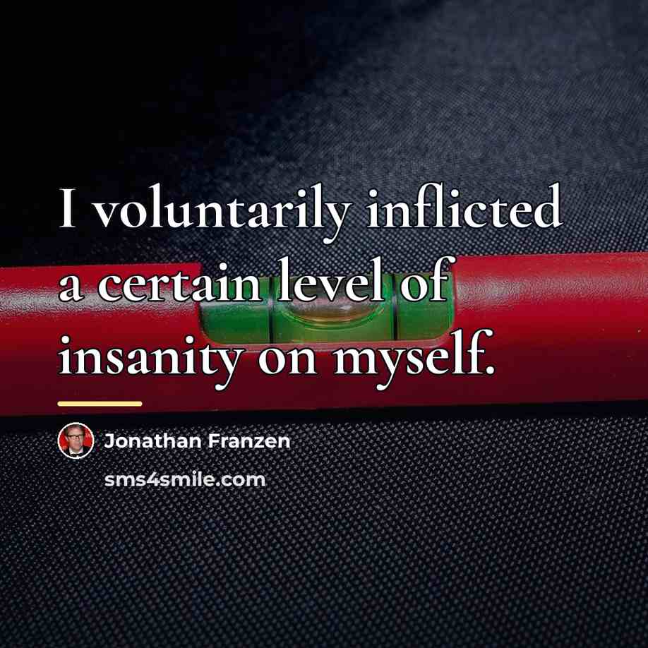 “I voluntarily inflicted a certain level of insanity on myself.…” quote by Jonathan Franzen