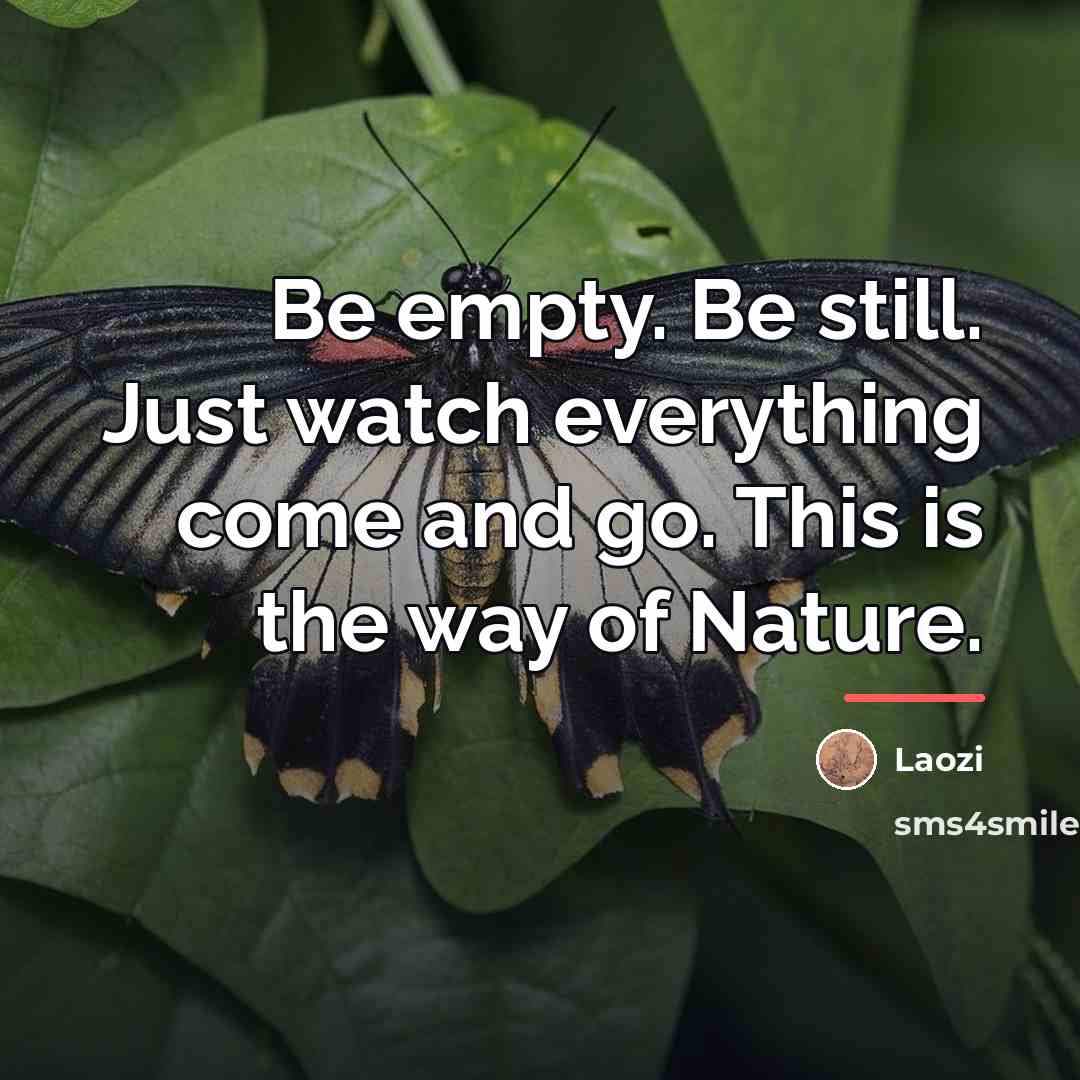“Be empty. Be still. Just watch everything come and go.…” quote by Laozi