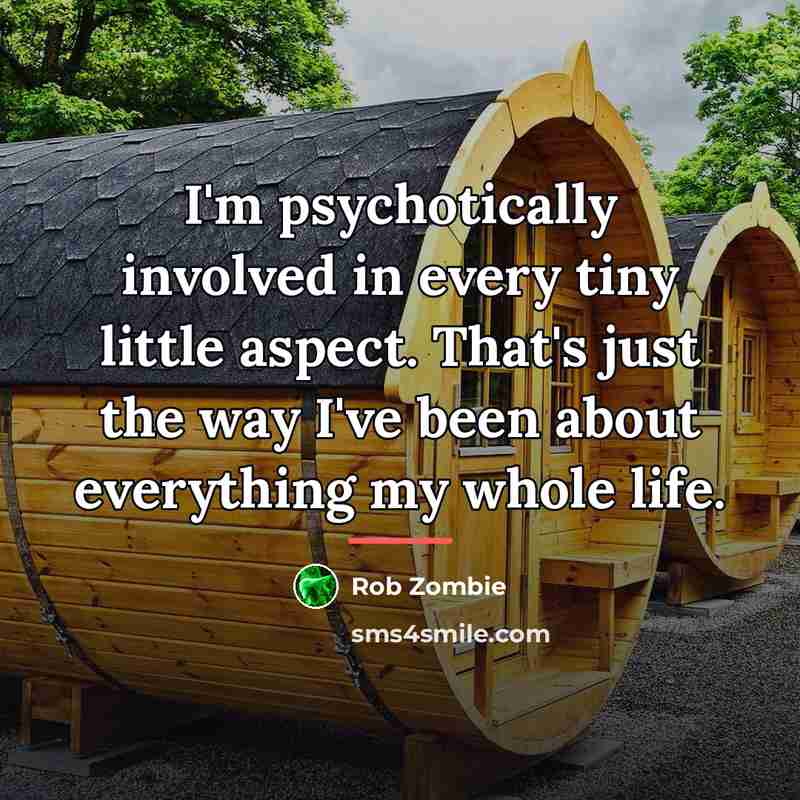 “I'm psychotically involved in every tiny little aspect. That's just…” quote by Rob Zombie