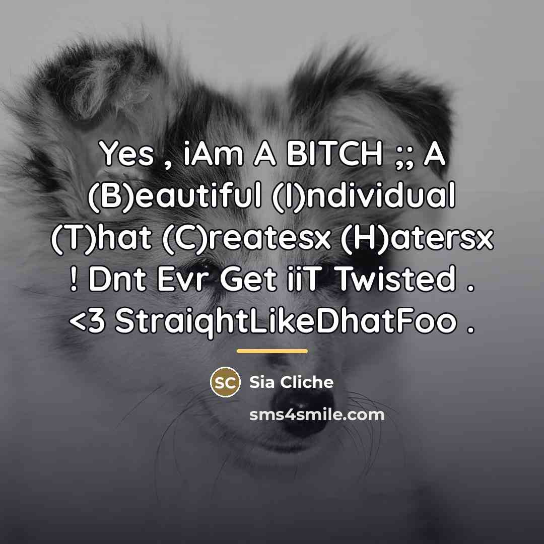 “Yes , iAm A BITCH ;; A (B)eautiful (I)ndividual (T)hat…” quote by Sia Cliche
