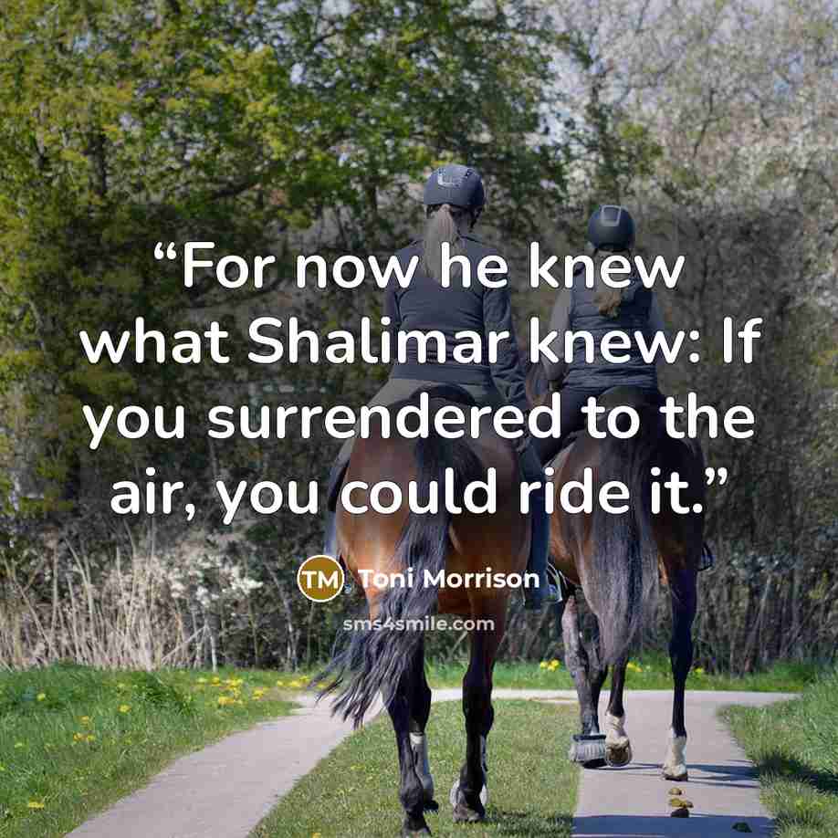 “For now he knew what Shalimar knew: If you surrendered to the air, you could ride it.” quote by Toni Morrison