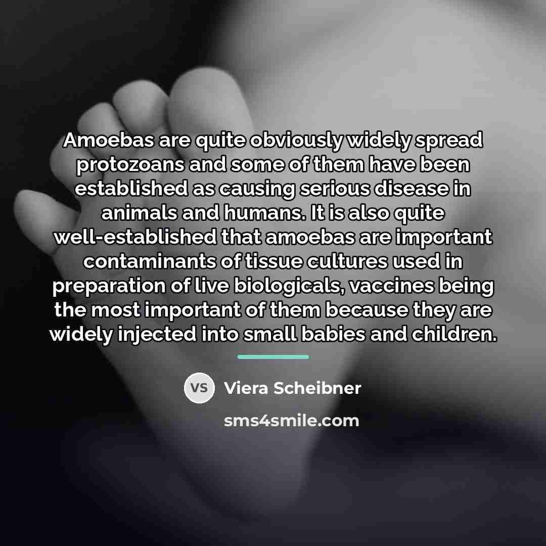 “Amoebas are quite obviously widely spread protozoans and some of…” quote by Viera Scheibner