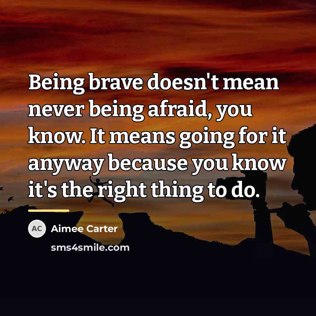“Being brave doesn't mean never being afraid, you know. It…” quote by Aimee Carter