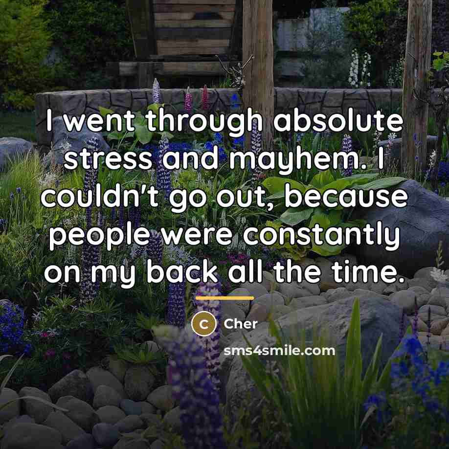 “I went through absolute stress and mayhem. I couldn't go…” quote by Cher