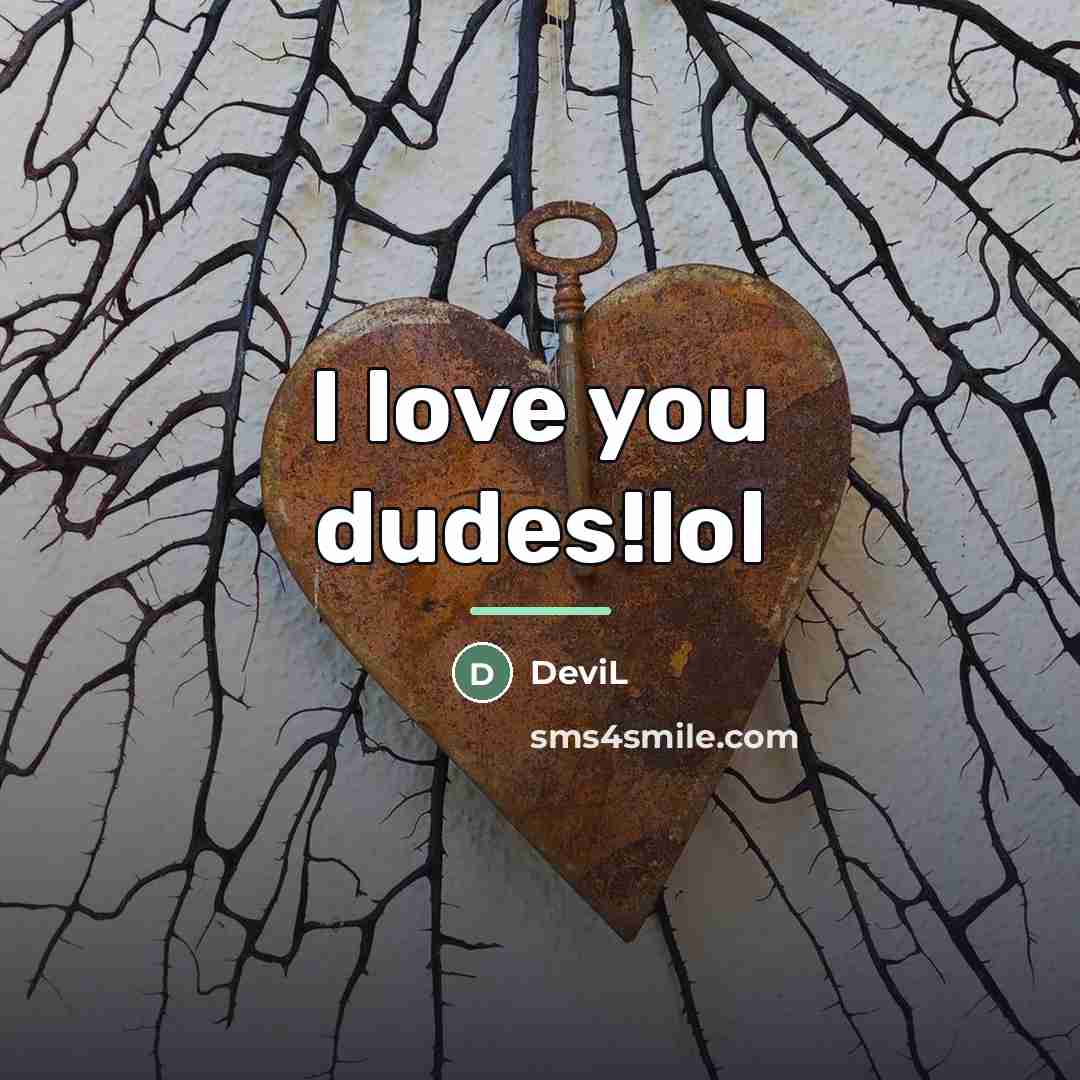 “I love you dudes!lol…” quote by DeviL