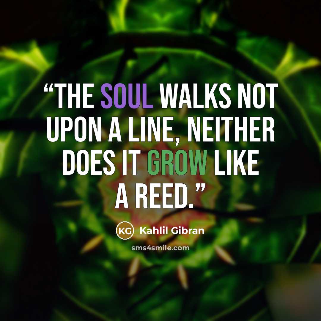 “The soul walks not upon a line, neither does it grow like a reed.” quote by Kahlil Gibran
