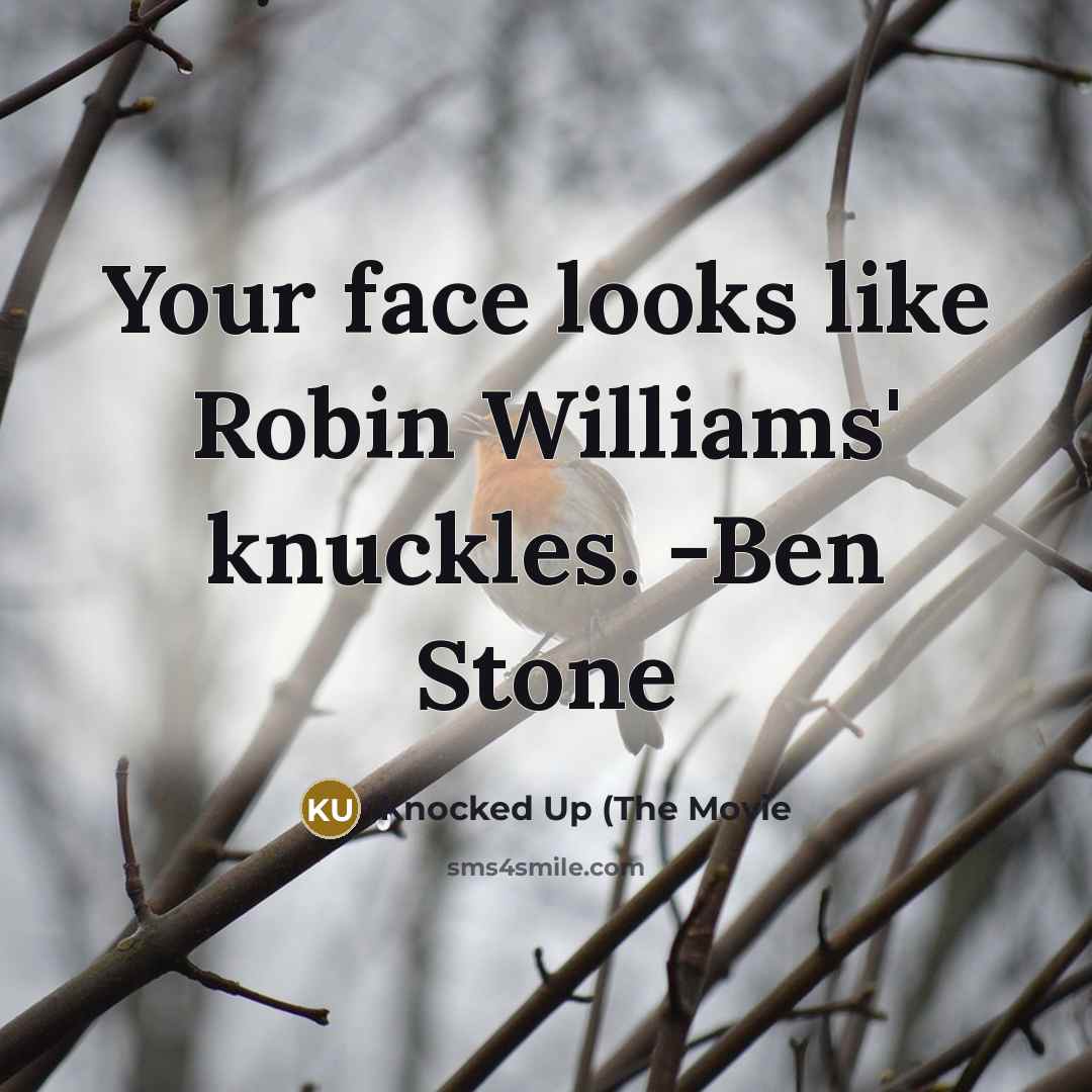 “Your face looks like Robin Williams' knuckles. -Ben Stone” quote by Knocked Up (The Movie