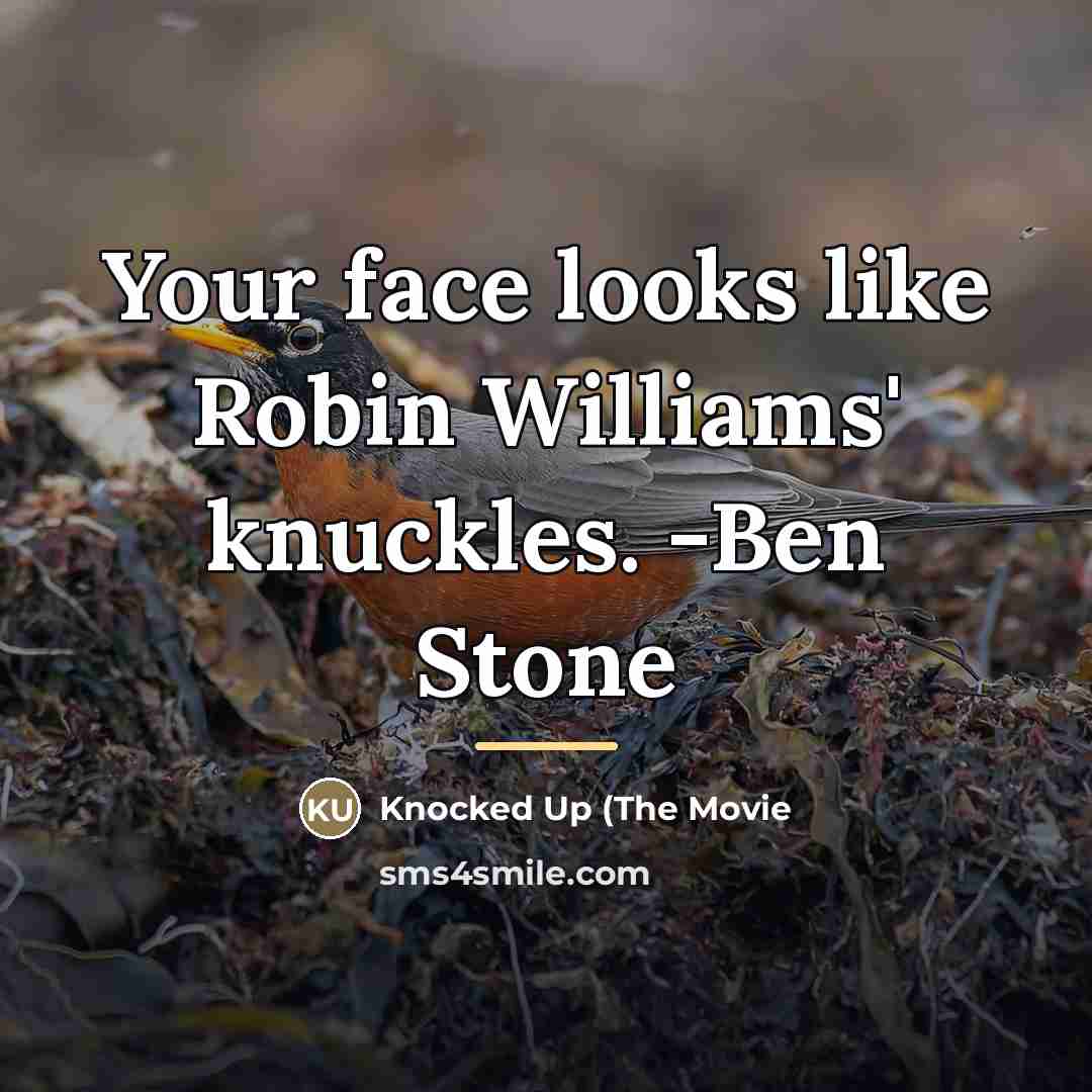 “Your face looks like Robin Williams' knuckles. -Ben Stone…” quote by Knocked Up (The Movie