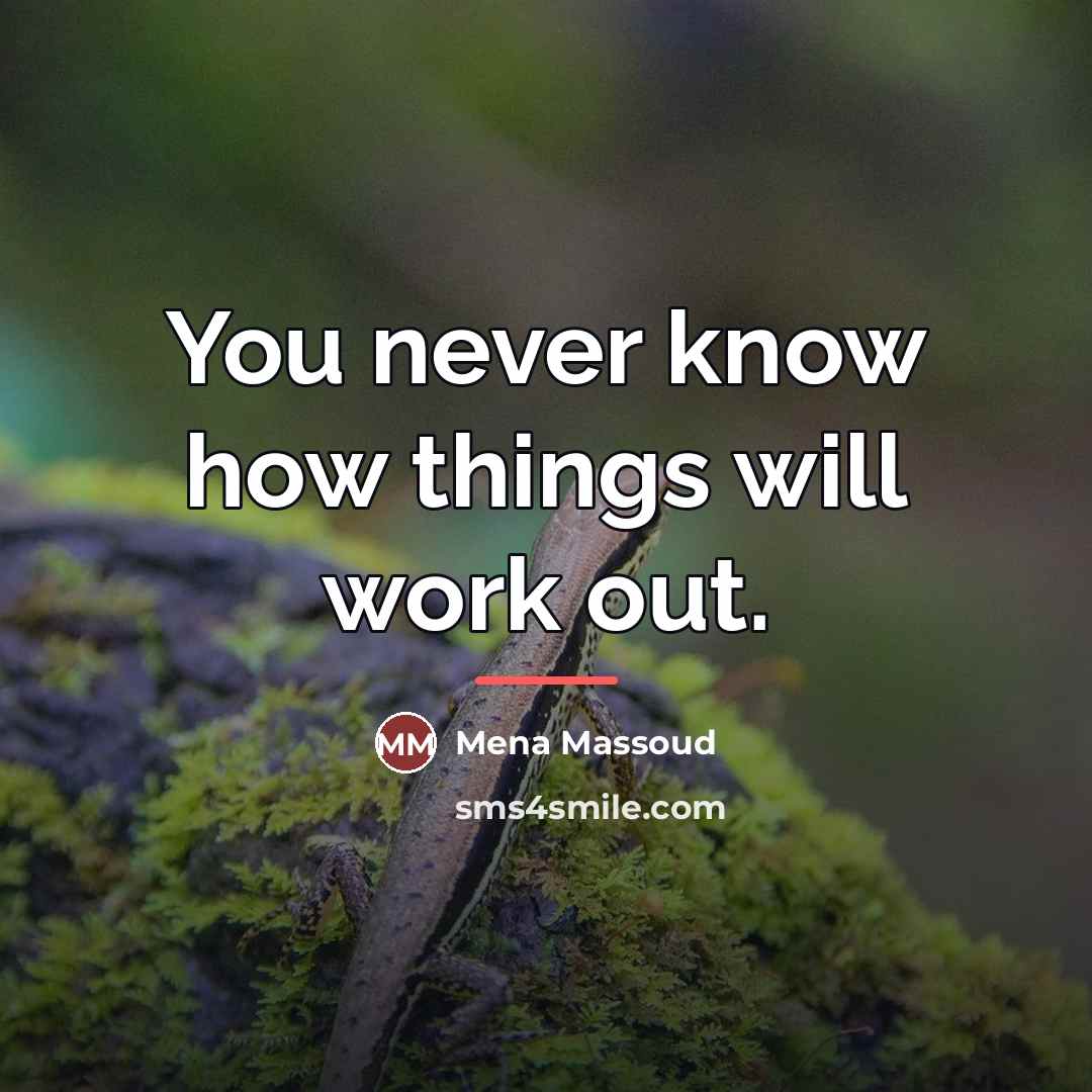 “You never know how things will work out.…” quote by Mena Massoud